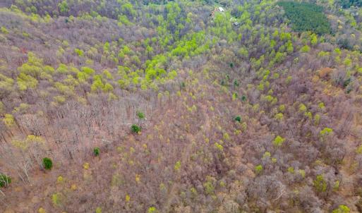 Photo #23 of Wares Gap Road, Monroe, VA 69.2 acres