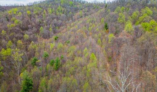 Photo #12 of Wares Gap Road, Monroe, VA 69.2 acres