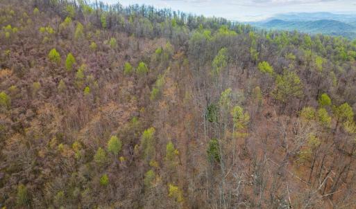 Photo #17 of Wares Gap Road, Monroe, VA 69.2 acres