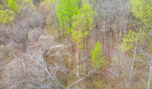 Photo #8 of Wares Gap Road, Monroe, VA 69.2 acres