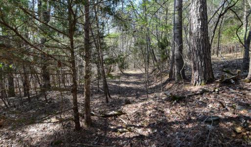 Photo #26 of 100 Waterway Court, Lynch Station, VA 0.7 acres