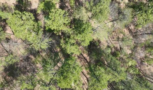 Photo #32 of 100 Waterway Court, Lynch Station, VA 0.7 acres