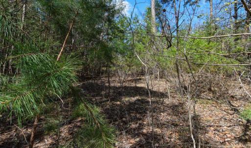 Photo #27 of 100 Waterway Court, Lynch Station, VA 0.7 acres