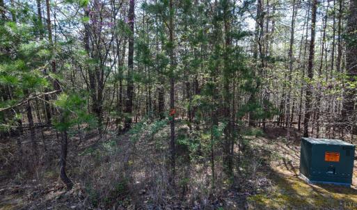 Photo #23 of 100 Waterway Court, Lynch Station, VA 0.7 acres