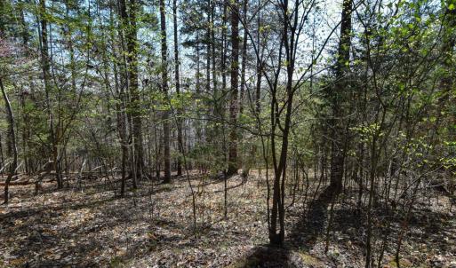 Photo #25 of 100 Waterway Court, Lynch Station, VA 0.7 acres