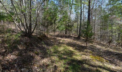 Photo #28 of 100 Waterway Court, Lynch Station, VA 0.7 acres