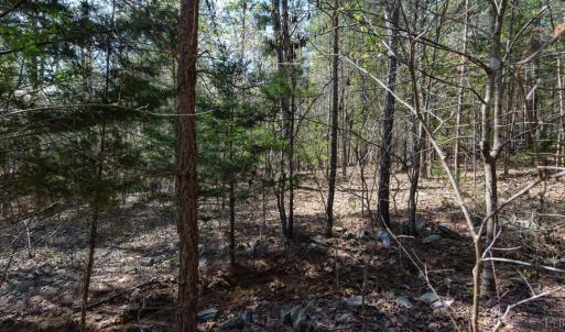 Photo #24 of 100 Waterway Court, Lynch Station, VA 0.7 acres
