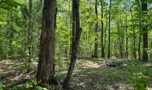 Photo #2 of Discovery Trail, Big Island, VA 7.0 acres