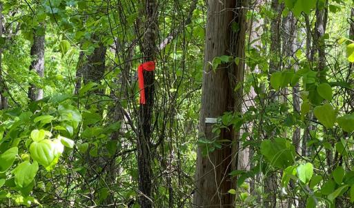 Photo #3 of Discovery Trail, Big Island, VA 7.0 acres