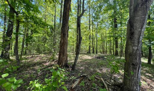 Photo #1 of Discovery Trail, Big Island, VA 7.0 acres