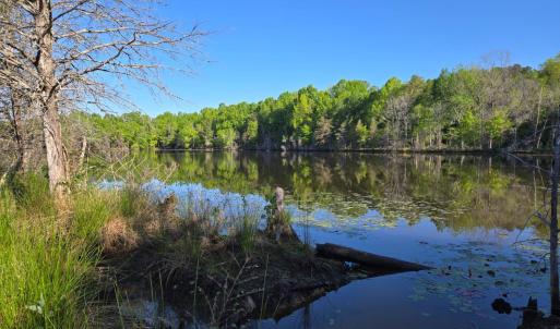 Photo #1 of Hudson Street, Farmville, VA 26.3 acres