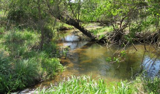 Photo #3 of 63 Sugar Hill Tunnel Road, Amherst, VA 63.9 acres