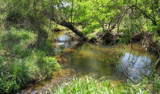 Photo #8 of 63 Sugar Hill Tunnel Road, Amherst, VA 63.9 acres