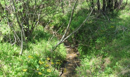 Photo #16 of 63 Sugar Hill Tunnel Road, Amherst, VA 63.9 acres