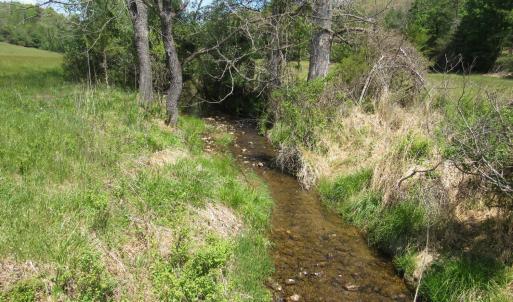 Photo #10 of 63 Sugar Hill Tunnel Road, Amherst, VA 63.9 acres