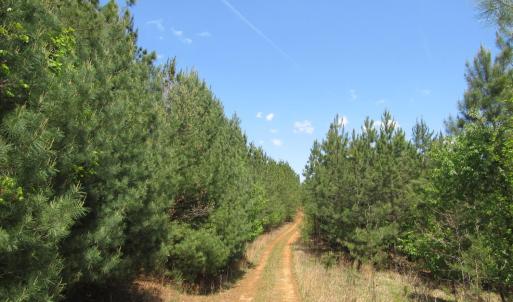 Photo #2 of 63 Sugar Hill Tunnel Road, Amherst, VA 63.9 acres