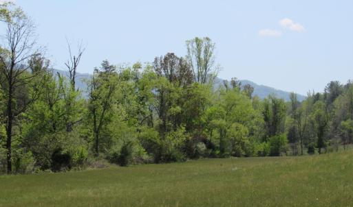 Photo #14 of 63 Sugar Hill Tunnel Road, Amherst, VA 63.9 acres