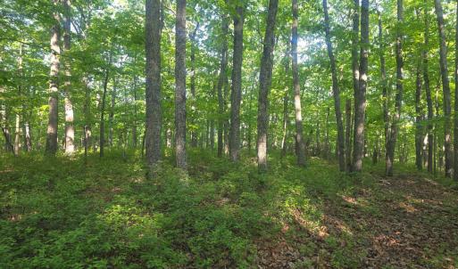 Photo #1 of Nighthawk Road, Lynchburg, VA 12.2 acres