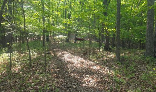 Photo #2 of Nighthawk Road, Lynchburg, VA 12.2 acres