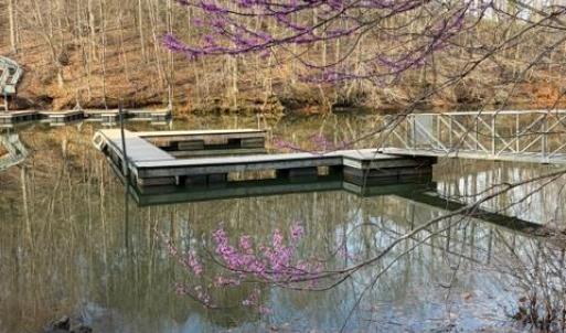 Photo #5 of 1 Sunset Bay Road, Gretna, VA 1.3 acres