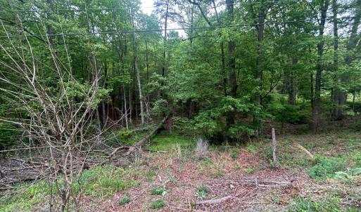Photo #4 of Timberview Road, Roanoke, VA 24.8 acres
