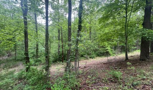 Photo #2 of Timberview Road, Roanoke, VA 24.8 acres