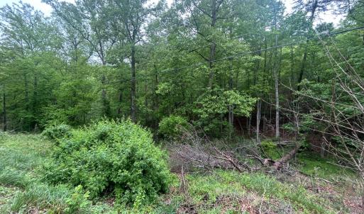Photo #3 of Timberview Road, Roanoke, VA 24.8 acres