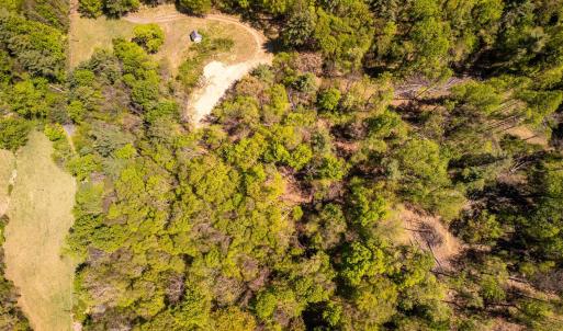 Photo #19 of Coffeytown Rd., Vesuvius, VA 27.0 acres