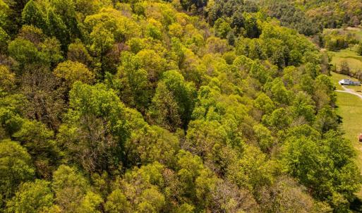 Photo #22 of Coffeytown Rd., Vesuvius, VA 27.0 acres