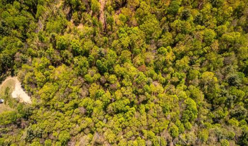 Photo #18 of Coffeytown Rd., Vesuvius, VA 27.0 acres