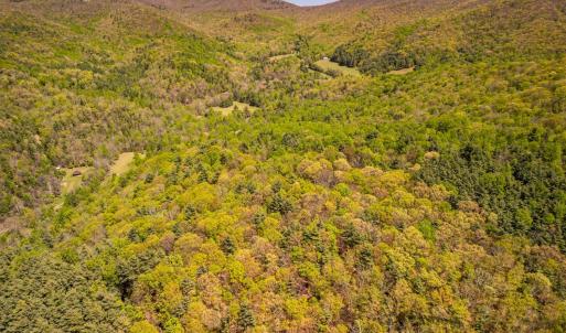 Photo #28 of Coffeytown Rd., Vesuvius, VA 27.0 acres