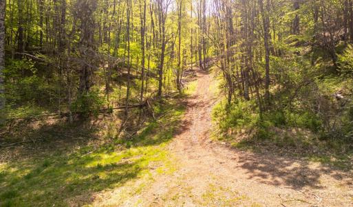 Photo #31 of Coffeytown Rd., Vesuvius, VA 27.0 acres