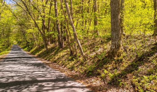 Photo #6 of Coffeytown Rd., Vesuvius, VA 27.0 acres