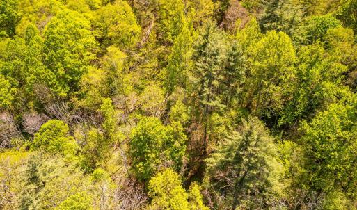 Photo #8 of Coffeytown Rd., Vesuvius, VA 27.0 acres