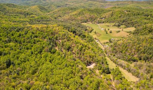 Photo #16 of Coffeytown Rd., Vesuvius, VA 27.0 acres