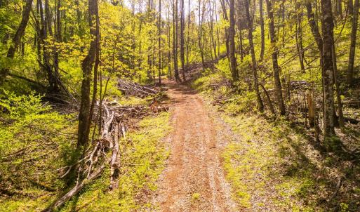 Photo #33 of Coffeytown Rd., Vesuvius, VA 27.0 acres