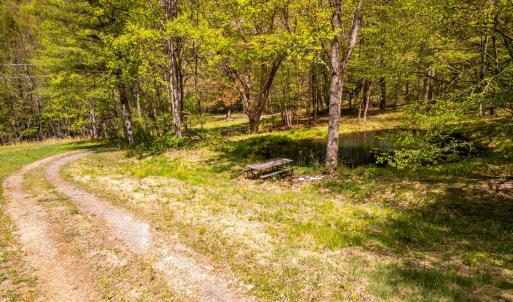 Photo #36 of Coffeytown Rd., Vesuvius, VA 27.0 acres