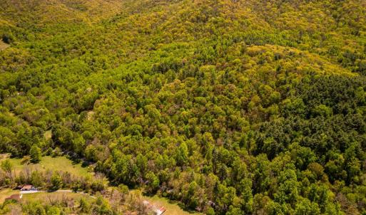 Photo #1 of Coffeytown Rd., Vesuvius, VA 27.0 acres