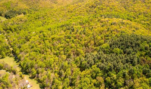 Photo #9 of Coffeytown Rd., Vesuvius, VA 27.0 acres