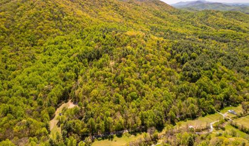 Photo #11 of Coffeytown Rd., Vesuvius, VA 27.0 acres