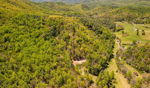 Photo #14 of Coffeytown Rd., Vesuvius, VA 27.0 acres