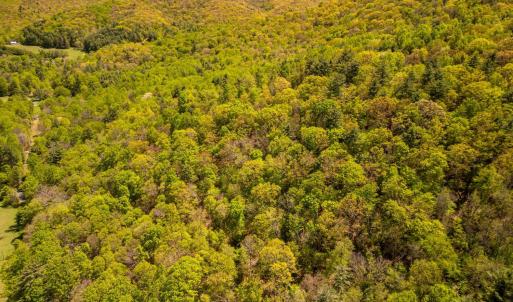 Photo #24 of Coffeytown Rd., Vesuvius, VA 27.0 acres