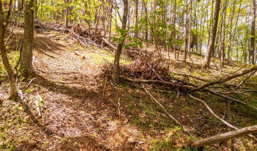 Photo #34 of Coffeytown Rd., Vesuvius, VA 27.0 acres