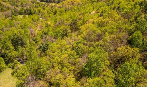 Photo #23 of Coffeytown Rd., Vesuvius, VA 27.0 acres