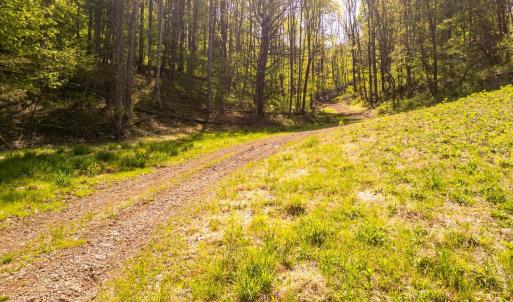 Photo #3 of Coffeytown Rd., Vesuvius, VA 27.0 acres