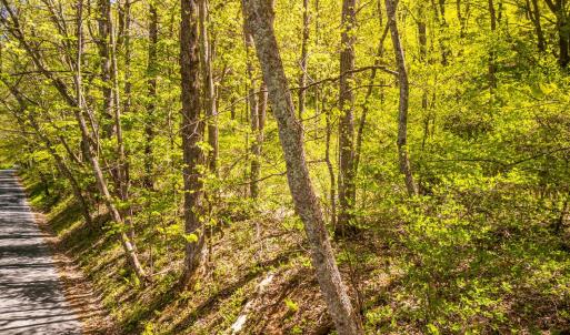 Photo #7 of Coffeytown Rd., Vesuvius, VA 27.0 acres