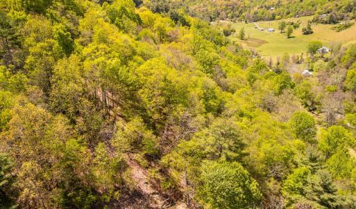 Photo #21 of Coffeytown Rd., Vesuvius, VA 27.0 acres
