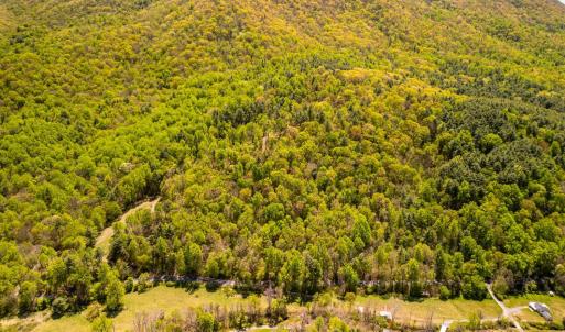 Photo #10 of Coffeytown Rd., Vesuvius, VA 27.0 acres