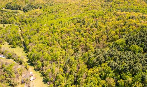 Photo #25 of Coffeytown Rd., Vesuvius, VA 27.0 acres