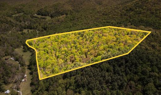 Photo #26 of Coffeytown Rd., Vesuvius, VA 27.0 acres